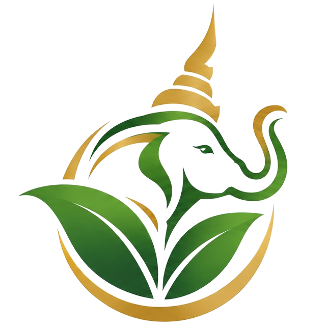 Thai Top Products